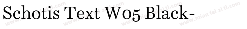 Schotis Text W05 Black字体转换